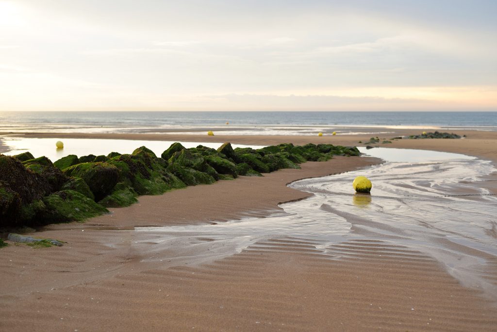 beach-cabourg-france-481