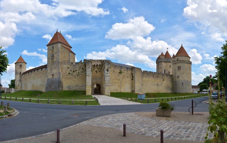 castle-chateau-de-blandy-les-tours-france-463