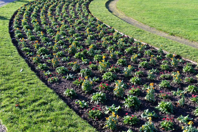 flower-bed-paris-france-249