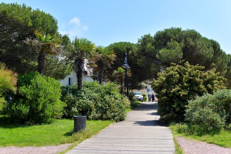 pathway-dives-sur-mer-france-517