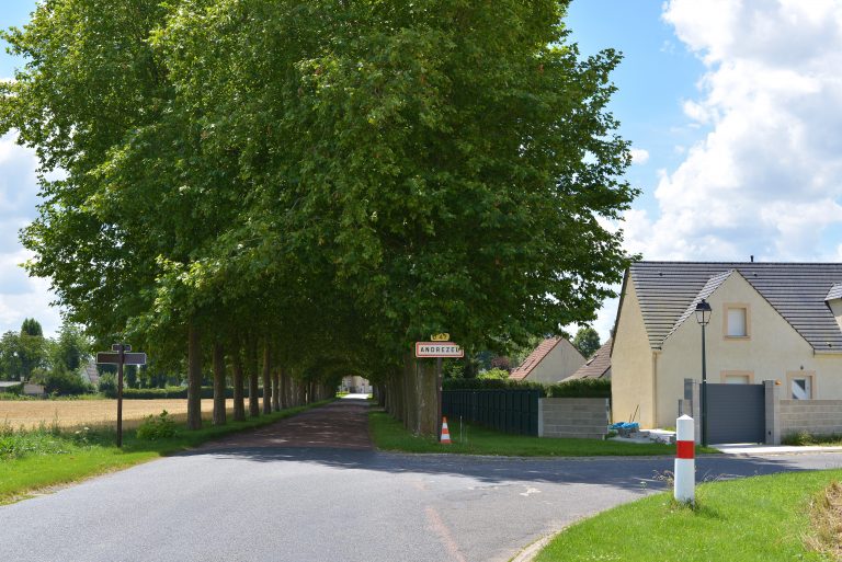 tree-alley-andrezel-france-462