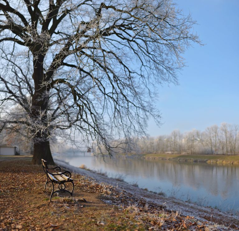 bench-pardubice-czech-republic-683