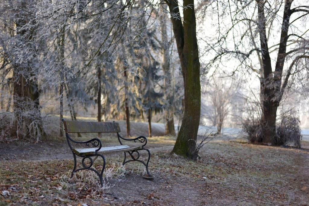 bench-pardubice-czech-republic-684