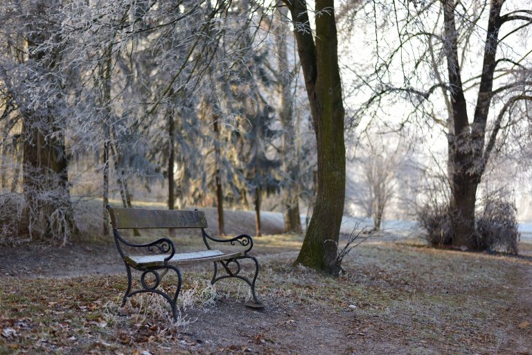 bench-pardubice-czech-republic-684