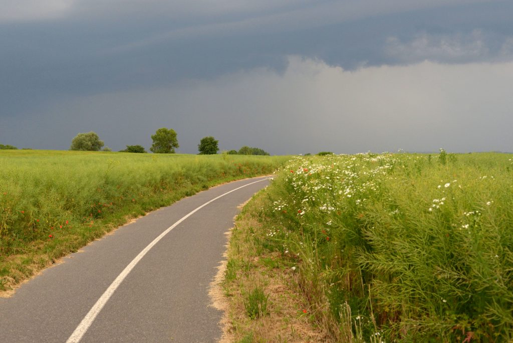 cycling-lane-pardubice-czech-republic-685