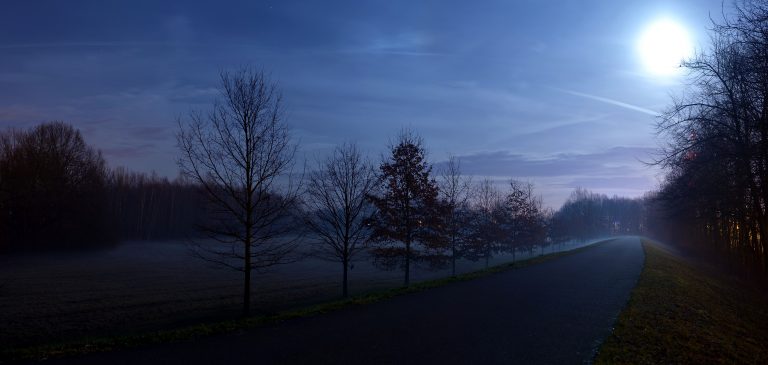 cycling-lane-pardubice-czech-republic-687