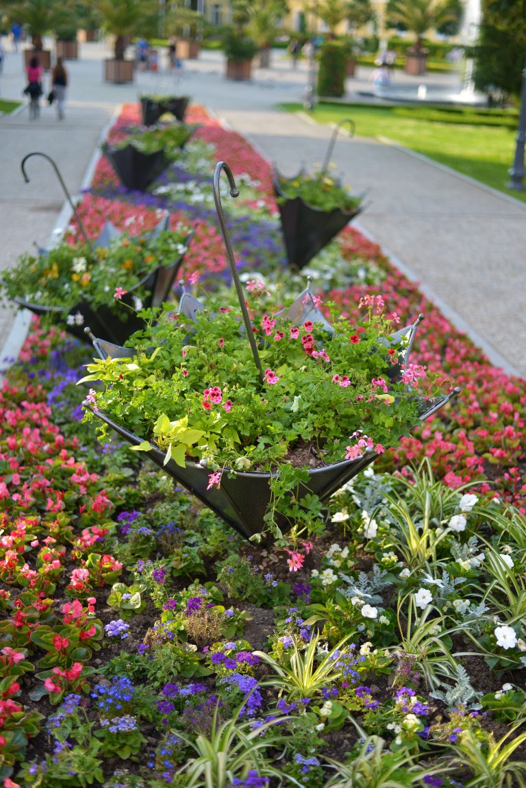 flower-bed-kudowa-zdroj-poland-666