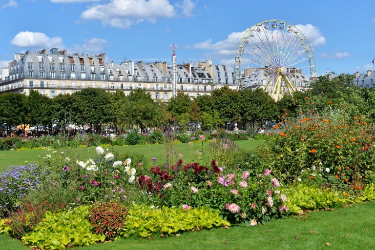 garden-jardin-des-tuileries-paris-france-553
