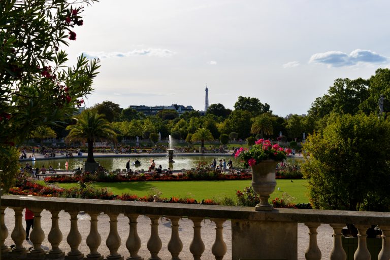 garden-jardin-du-luxembourg-paris-france-554