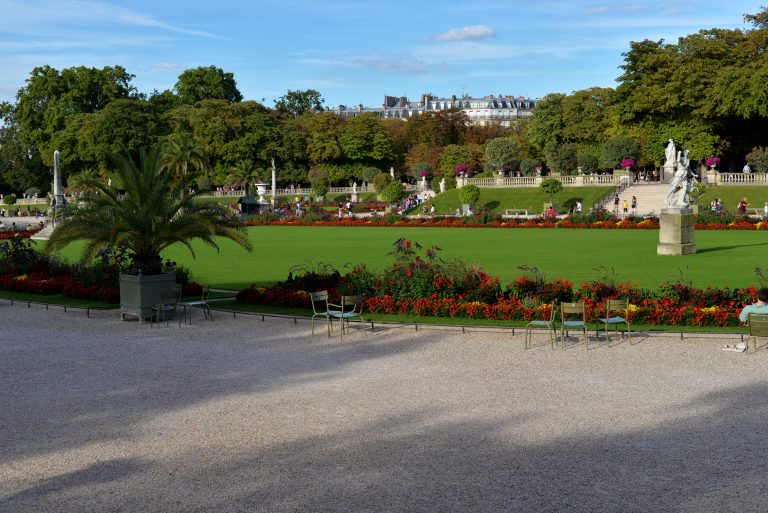 garden-jardin-du-luxembourg-paris-france-558
