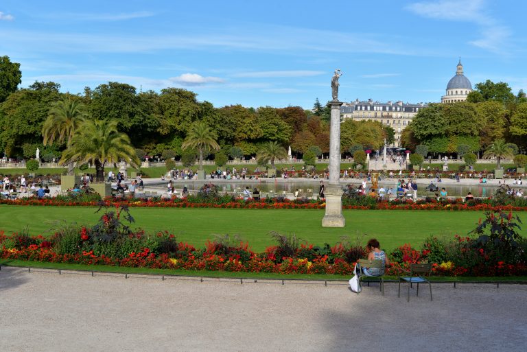 garden-jardin-du-luxembourg-paris-france-559