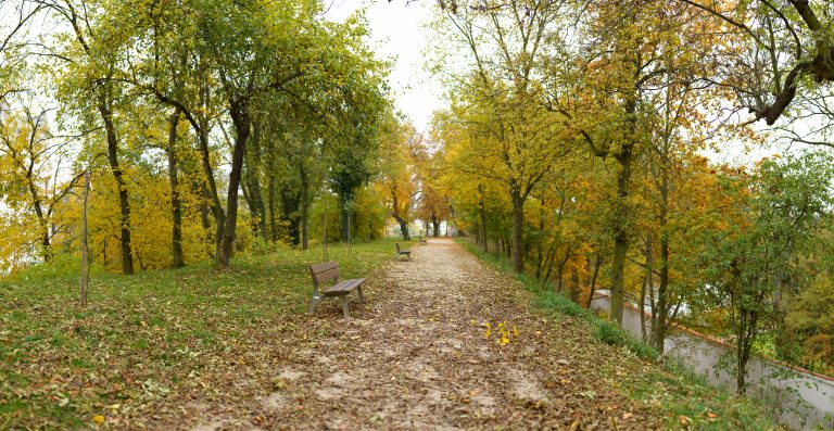 pathway-pardubice-czech-republic-692