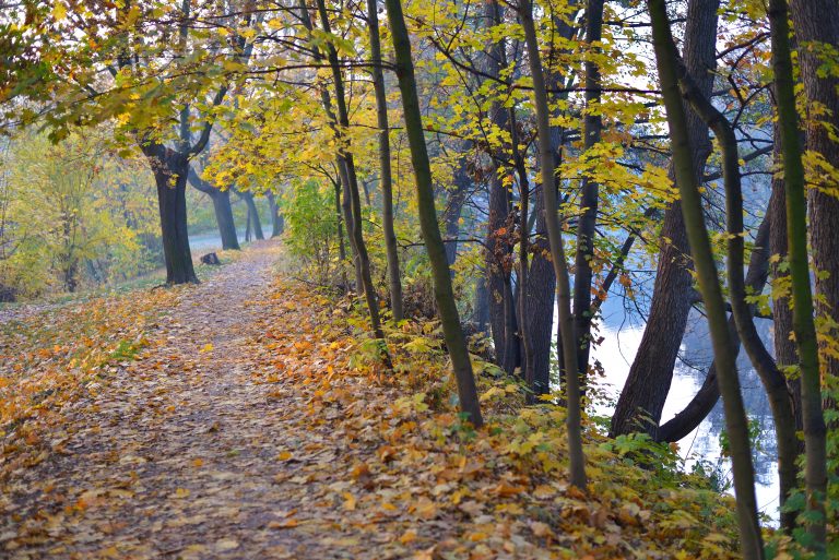 pathway-pardubice-czech-republic-693