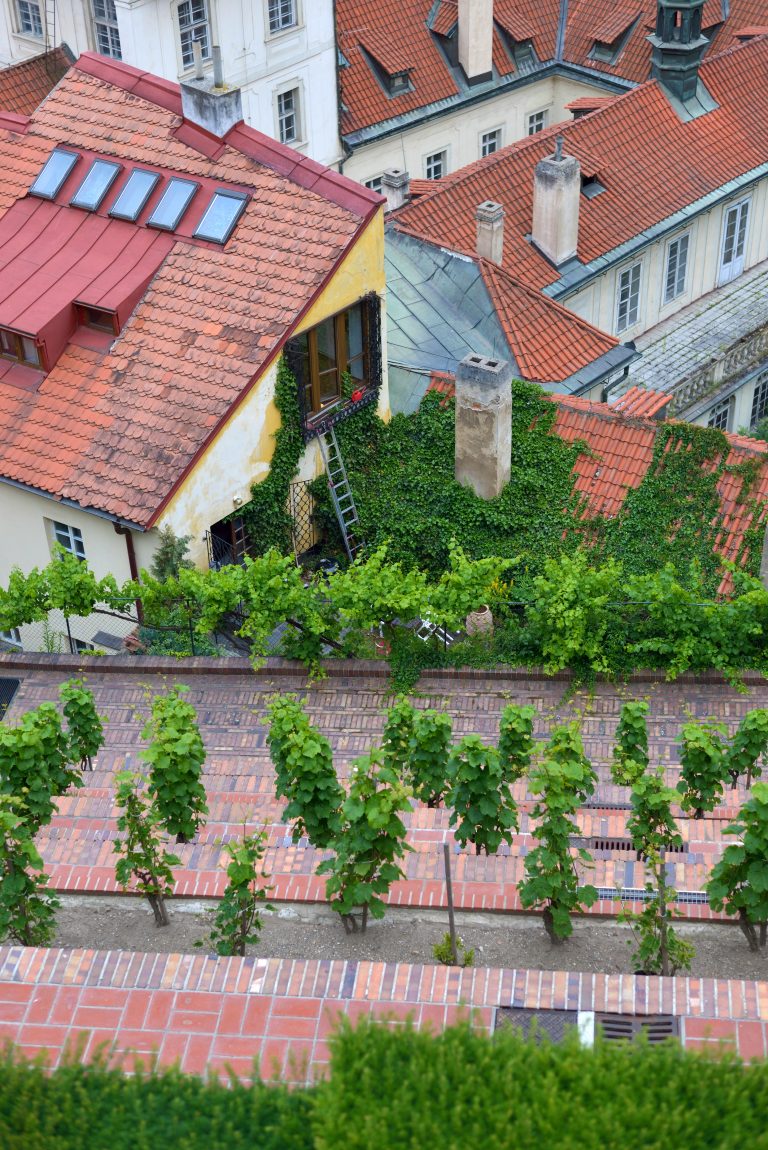 roof-prague-czech-republic-707