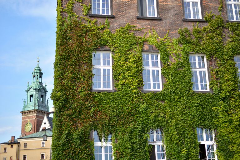 wawel-royal-castle-krakow-poland-664